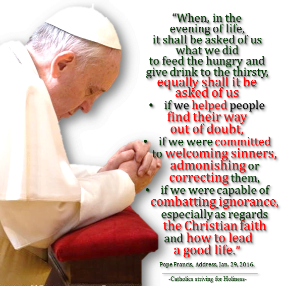 Pope Francis.Combat ignorance