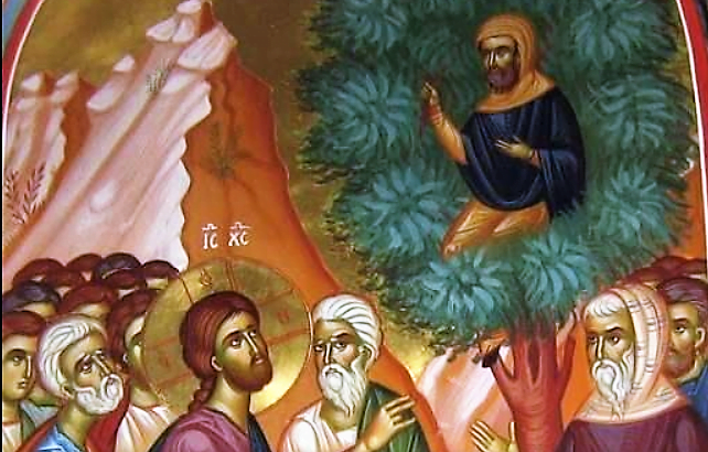 31st Sunday Reflection (Year C). ZACCHAEUS' CONVERSION. LET US "CLIMB OUR SYCAMORE TREE" TO HAVE A PERSONAL ENCOUNTER WITH JESUS. 2