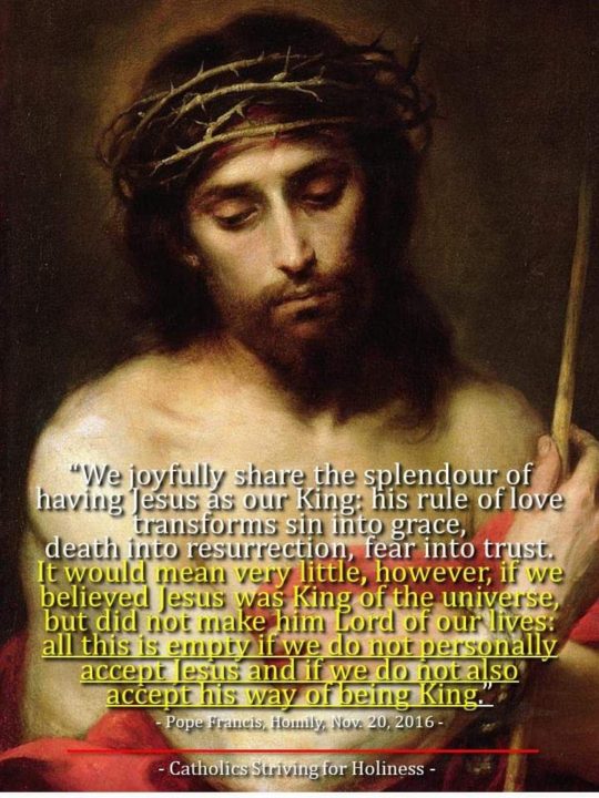 POPE FRANCIS ON CHRIST THE KING YEAR C. BEAUTIFUL AND MUST READ HOMILY 2