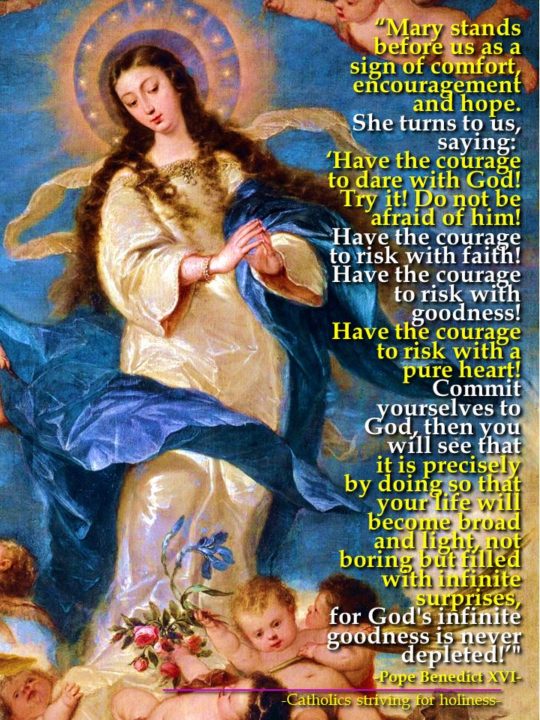 POPE BENEDICT XVI ON THE IMMACULATE CONCEPTION OF MARY. Excellent read. 2