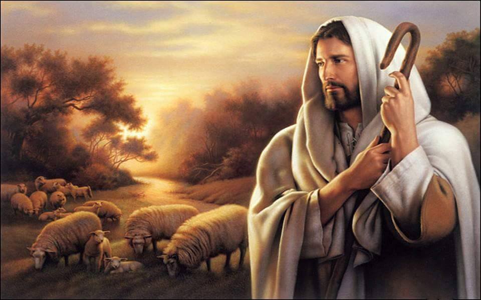 DAILY GOSPEL AND COMMENTARY: "I am the good shepherd." (Jn 10:11-18). 2