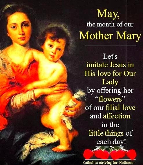 MAY: THE MONTH OF MARY. FLOWERS FOR OUR LADY. Summary vid + full text. 2