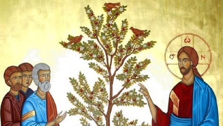 HOMILY REFLECTION 11TH SUNDAY OF THE ORDINARY TIME YEAR B