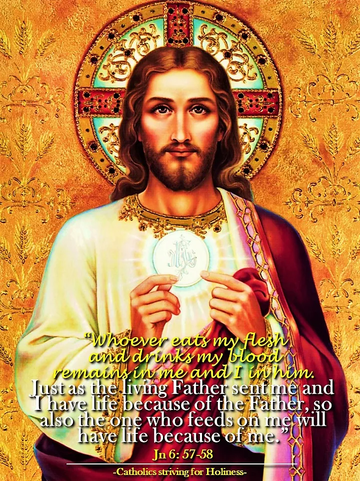 Homily for the 20th Sunday in Ordinary Time Year B: RECEIVING JESUS IN THE HOLY COMMUNION IS A COMMITMENT TO LIVE HIS LIFE, TO LIVE IN HIM AND FOR HIM. 2 holy communion