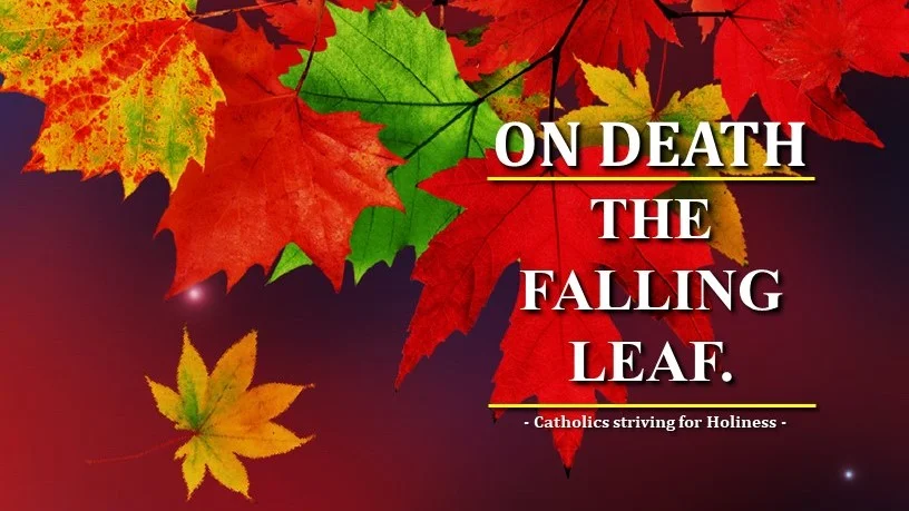 WHAT IS THE CATHOLIC TEACHING ON DEATH? The Falling Leaf. 1