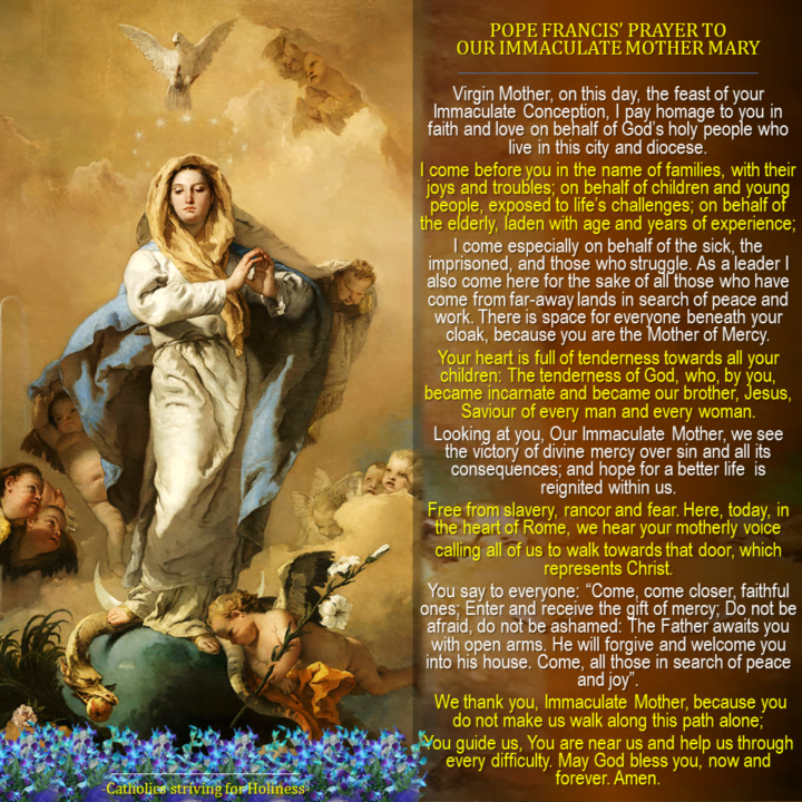 Immaculate Conception- Prayer Of Pope Francis 2015 - Catholics Striving