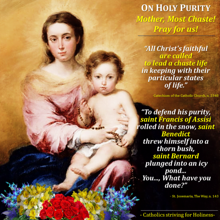 WHAT IS HOLY PURITY OR CHASTITY?