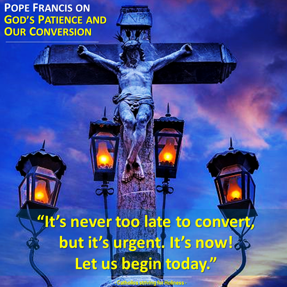 Pope FRancis. God's patience and our conversion. Never too late to convert. Do it now. 4