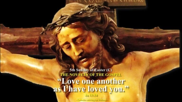 5th sunday of easter year c homily