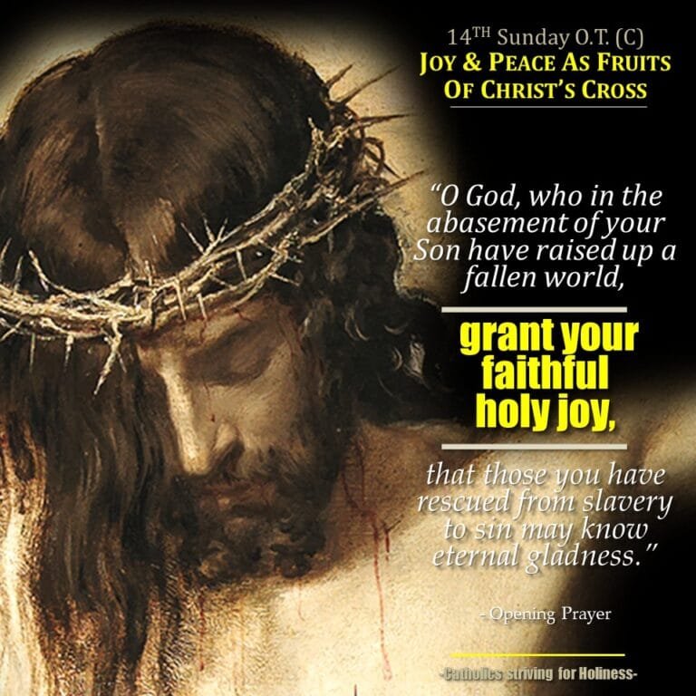 14TH SUNDAY C. JOY, PEACE, INTERIOR STRUGGLE 2