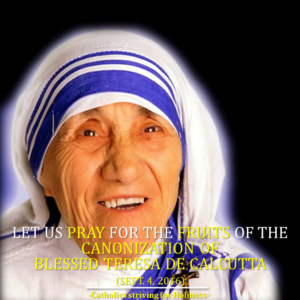 St. Teresa of Calcuta 4