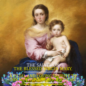 The Saints on the Blessed Virgin Mary 4
