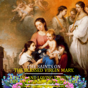 The Saints on the Blessed Virgin Mary 4