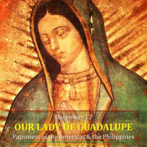 advent-5-our-lady-of-guadalupe 4