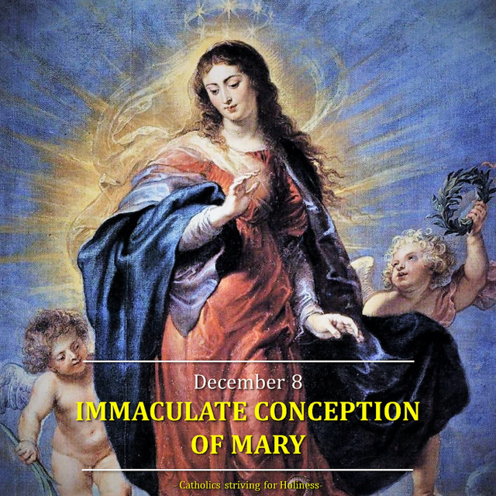 Dec. 8: THE IMMACULATE CONCEPTION OF MARY. 14