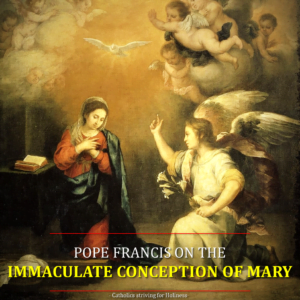 immaculate-conception-pope-francis-2016-angelus 4