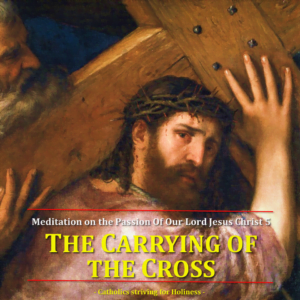 5. Carrying of the Cross 4