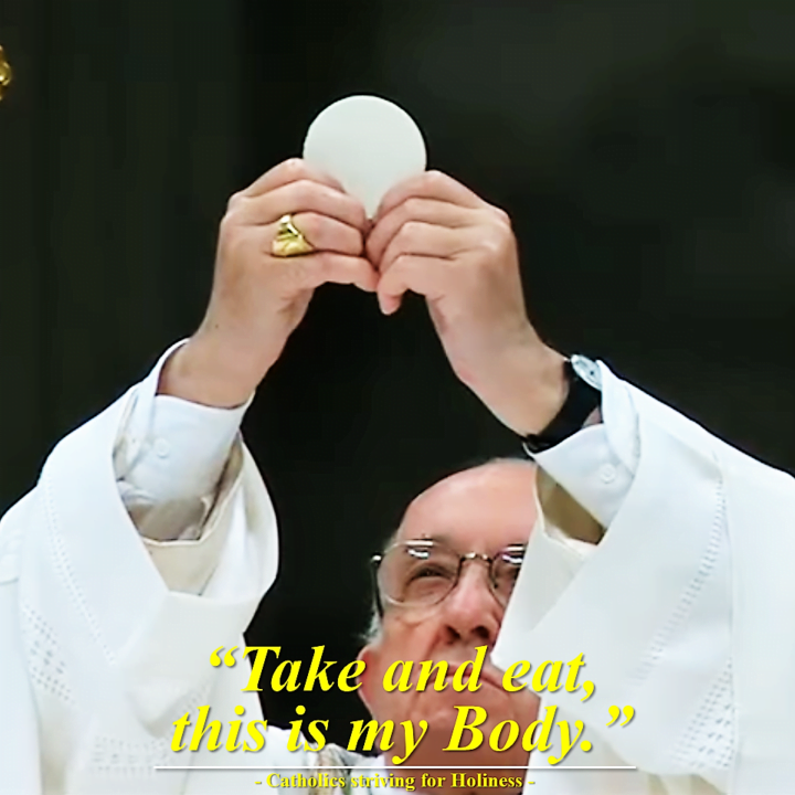 LORD JESUS IN THE HOLY EUCHARIST, THANK YOU FOR YOUR LOVING MERCY! Intro vid + Easter Saturday Divine office 2nd reading 10