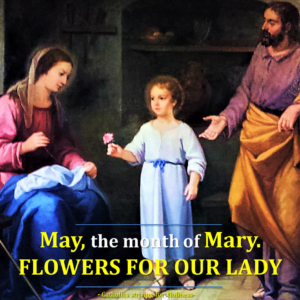 May, month of Mary 2017 4