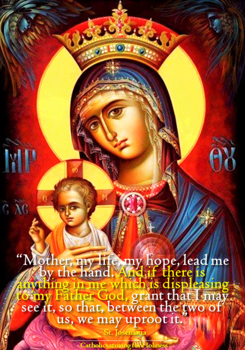 ASK OUR LADY FOR THE GIFT OF CONTRITION. 18