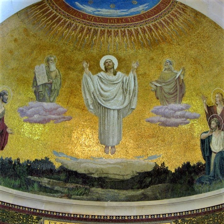 Transfiguration Of Our Lord - Catholics Striving For Holiness