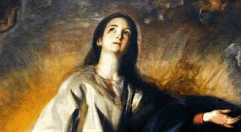 POPE FRANCIS ON THE ASSUMPTION OF OUR LADY 6 Assumption of Our Lady homily