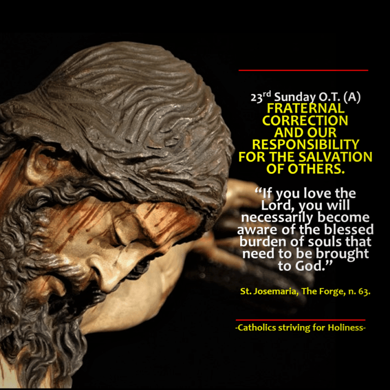 23rd Sunday in Ordinary Time Year A Reflection. FRATERNAL CORRECTION AND THE CHRISTIAN RESPONSIBILITY FOR THE SALVATION OF OTHERS. 13 23rd Sunday. Fraternal correction.