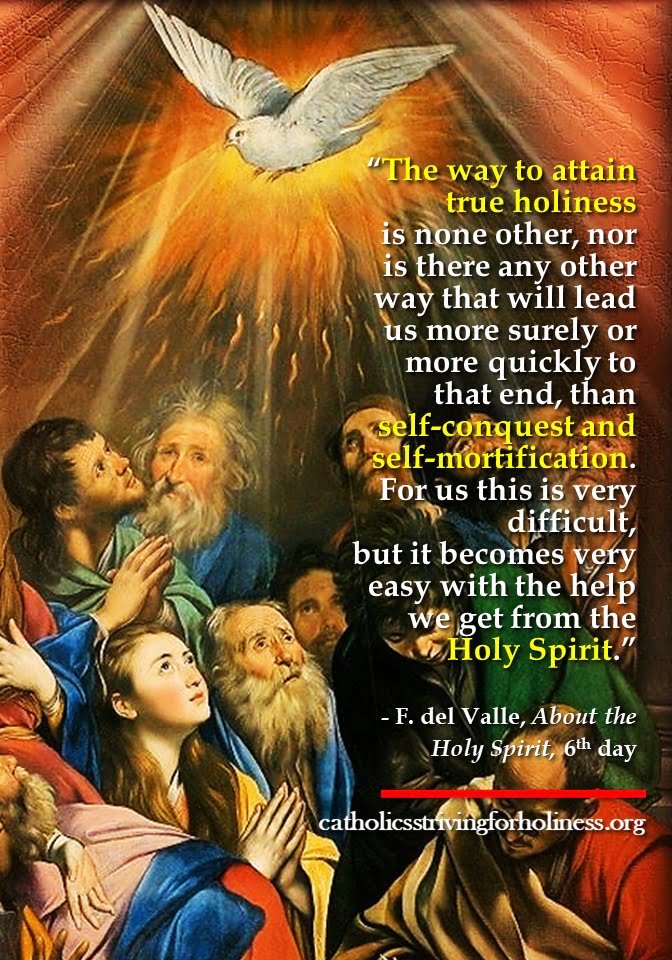 HOly Spirit And Mortification - Catholics Striving For Holiness