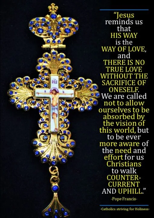 POPE FRANCIS: THE TEMPTATION OF FOLLOWING CHRIST WITHOUT THE CROSS. 2 POPE FRANCIS: THE TEMPTATION OF FOLLOWING CHRIST WITHOUT THE CROSS. 2