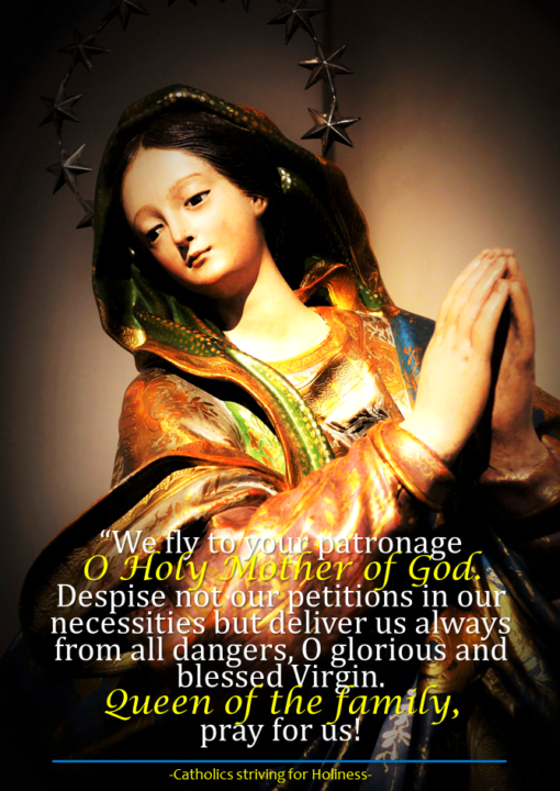 MOTHER MARY, DELIVER OUR FAMILY FROM ALL DANGER. 11