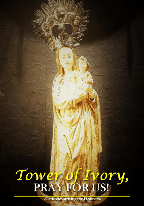 TOWER OF IVORY, PRAY OF US! 9