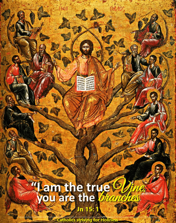 5th Sunday Easter B -I Am The Vine - Catholics Striving For Holiness