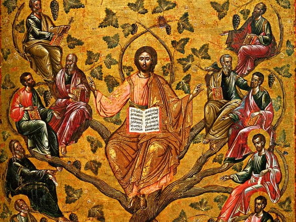 HOMILY / REFLECTION 5th SUNDAY OF EASTER B: "I AM THE TRUE VINE, YOU ARE THE BRANCHES." 1