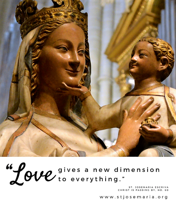 Love gives a new dimension to everything