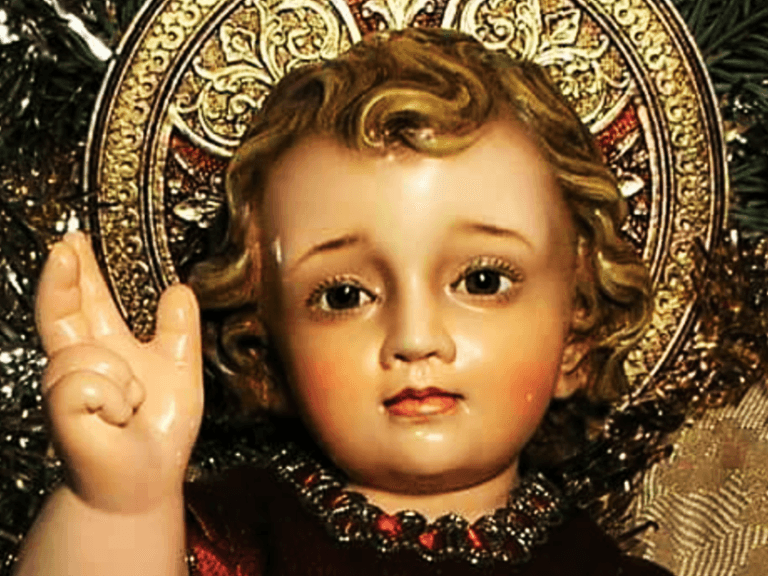 DAILY GOSPEL COMMENTARY: PARABLES OF THE MUSTARD SEED AND THE YEAST (Mt 13:31–35). 7 parables of the mustard seed and the yeast