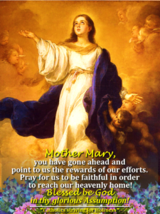August 15- Assumption of Our Lady 4