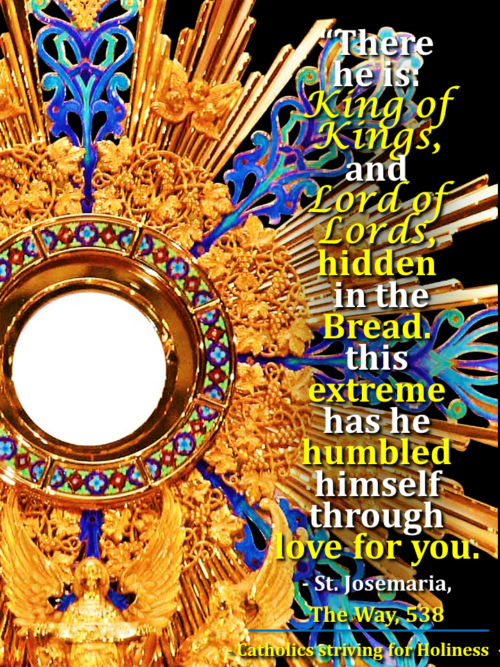 DO WE REALISE THE GREATNESS OF JESUS' LOVE FOR US IN THE HOLY EUCHARIST? 2