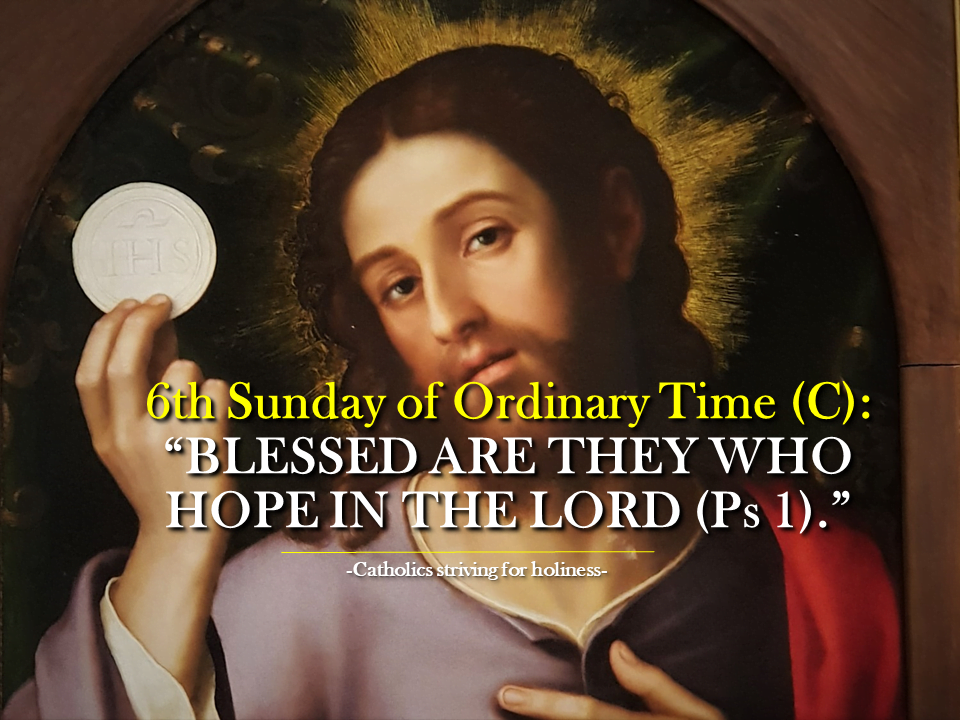 Homily 6th Sunday in Ordinary Time C. “BLESSED ARE THEY WHO HOPE IN THE LORD (Psalm 1).” 1