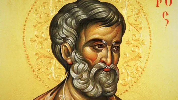 Feb. 21: ST. PETER DAMIAN, BISHOP AND DOCTOR OF THE CHURCH. "LET US REJOICE IN THE JOY THAT FOLLOWS SADNESS." 1