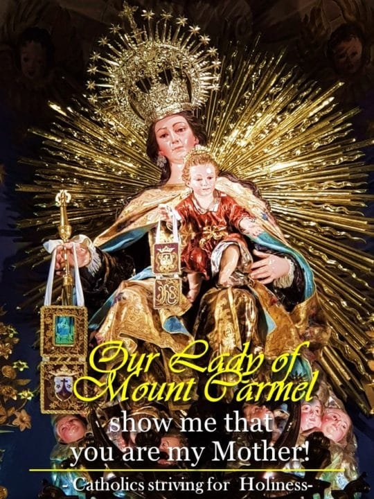 July 16 HAPPY FEAST OF OUR LADY OF MT. CARMEL. Catholics Striving