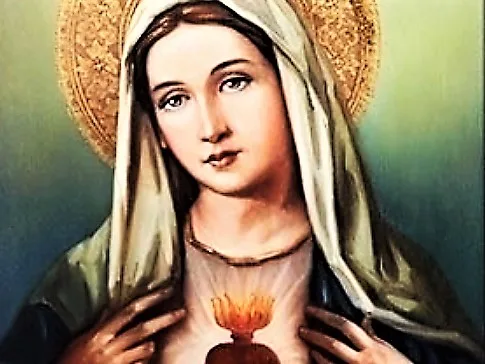 THE DEVOTION TO THE IMMACULATE HEART OF MARY: WHAT IS IT? EXCERPTS FROM THE MEMOIRS OF SOR LUCÍA. 24 THE DEVOTION TO THE IMMACULATE HEART OF MARY: WHAT IS IT? EXCERPTS FROM THE MEMOIRS OF SOR LUCÍA. 5