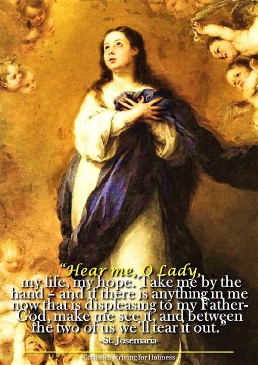 novena to the immaculate