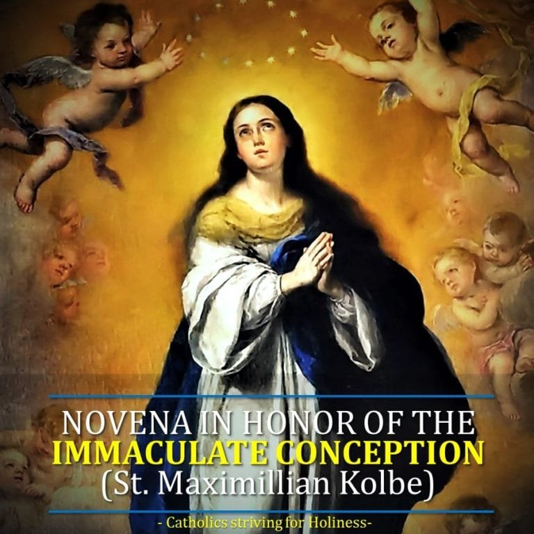 Novena-in-honor-of-the-immaculate-conception - Catholics Striving For ...