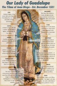 12-amazing-facts-tilma-Our-Lady-of-Guadalupe 4