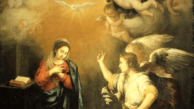 POPE FRANCIS ON THE IMMACULATE CONCEPTION (2016). 11 20191202_100912529116635498348461.png