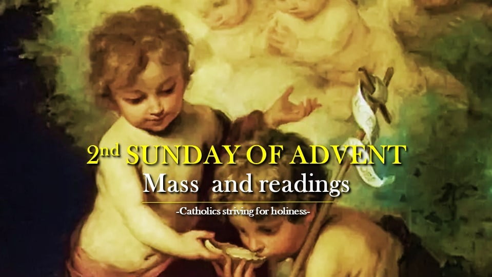 2nd Sunday of Advent year A mass prayers and readings