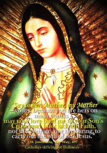 day-7-novena-immaculate-conception 4