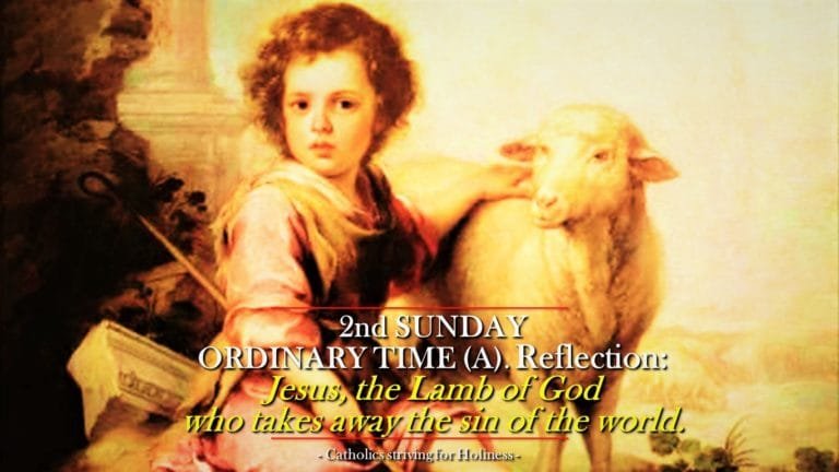 2nd Sunday Ordinary Time Year A Reflection. Jesus The Lamb Of God ...