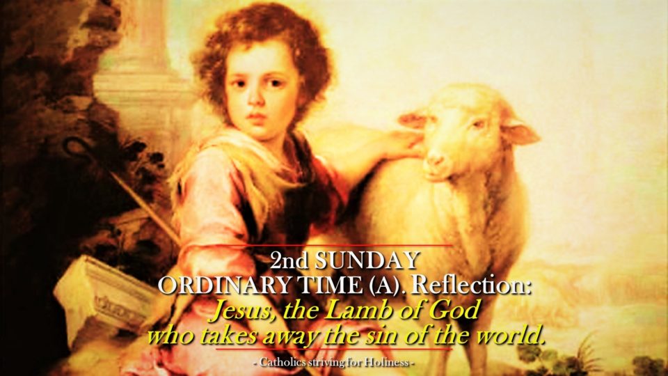 2nd Sunday Ordinary Time (Year A) Reflection. JESUS, "THE LAMB OF GOD WHO TAKES AWAY THE SIN OF THE WORLD." 1