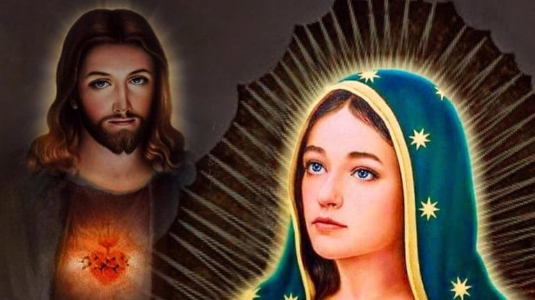 22nd sunday in ordinary time year c humility true family of jesus kinsmen of jesus who is my mother and brothers humility